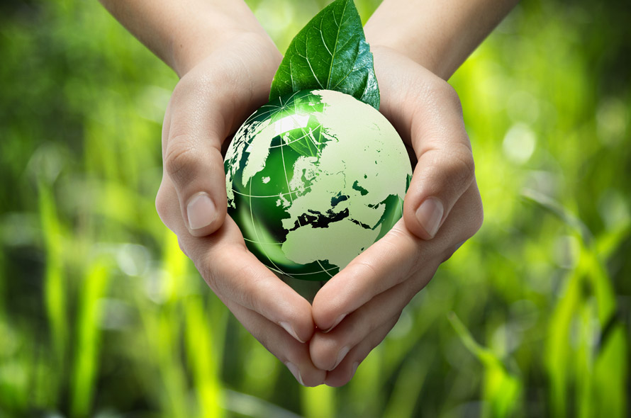 About C Tech Corporation