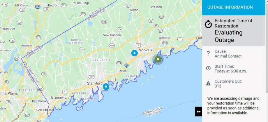 Furry little creatures behind power outages