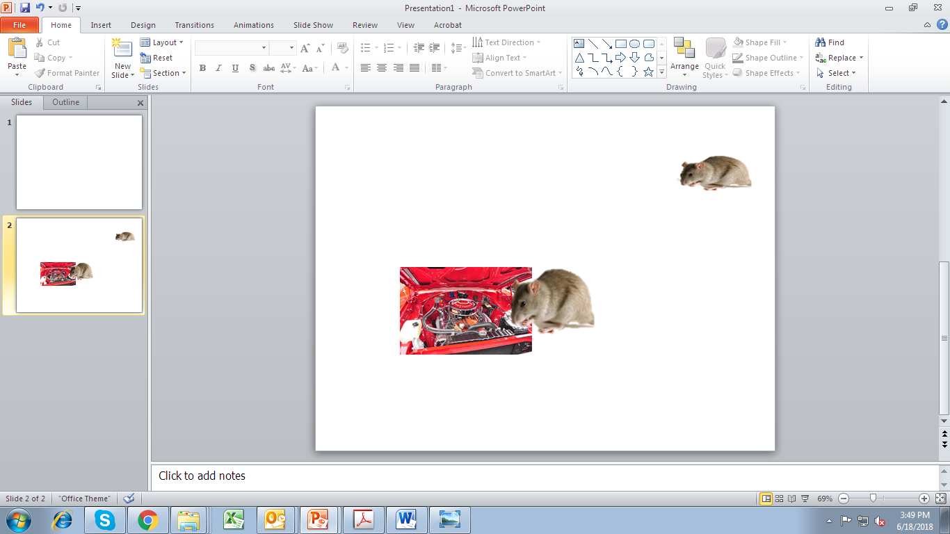 Is your Car Rat free